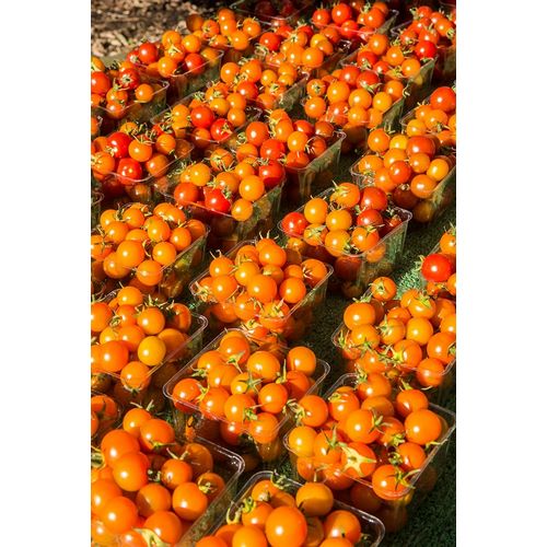 Horton, Janet 아티스트의 Issaquah-Washington State-USA Pints of cherry tomatoes for sale at a Farmers Market작품입니다.